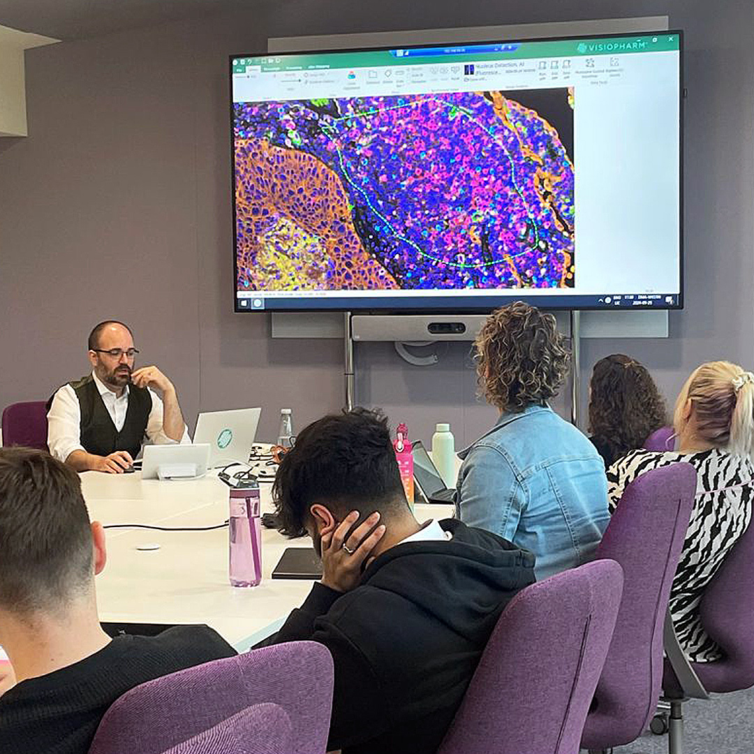 The European Histopathology Forum Questions and Answers