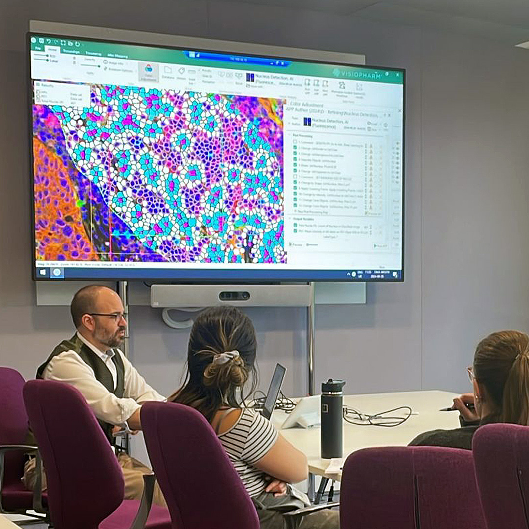 The European Histopathology Forum live talks